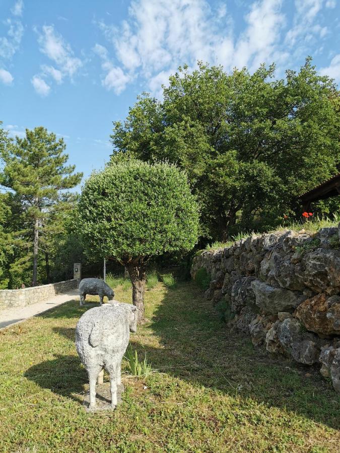 Domaine Geodora, Parfumeur En Provence Villa Montauroux Exteriör bild