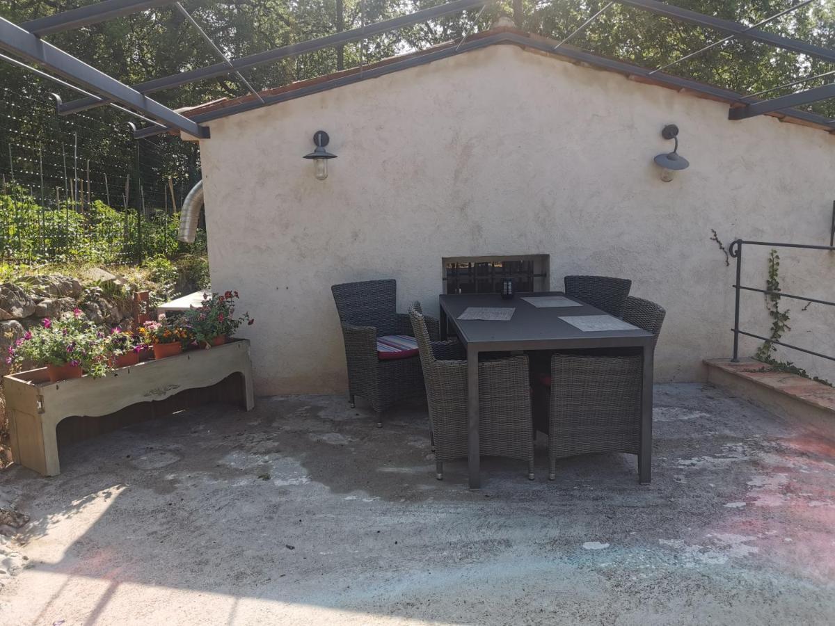 Domaine Geodora, Parfumeur En Provence Villa Montauroux Exteriör bild