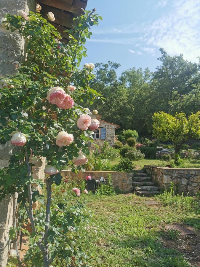 Domaine Geodora, Parfumeur En Provence Villa Montauroux Exteriör bild